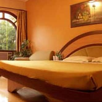 Hotel Silver Arc, New Delhi 2